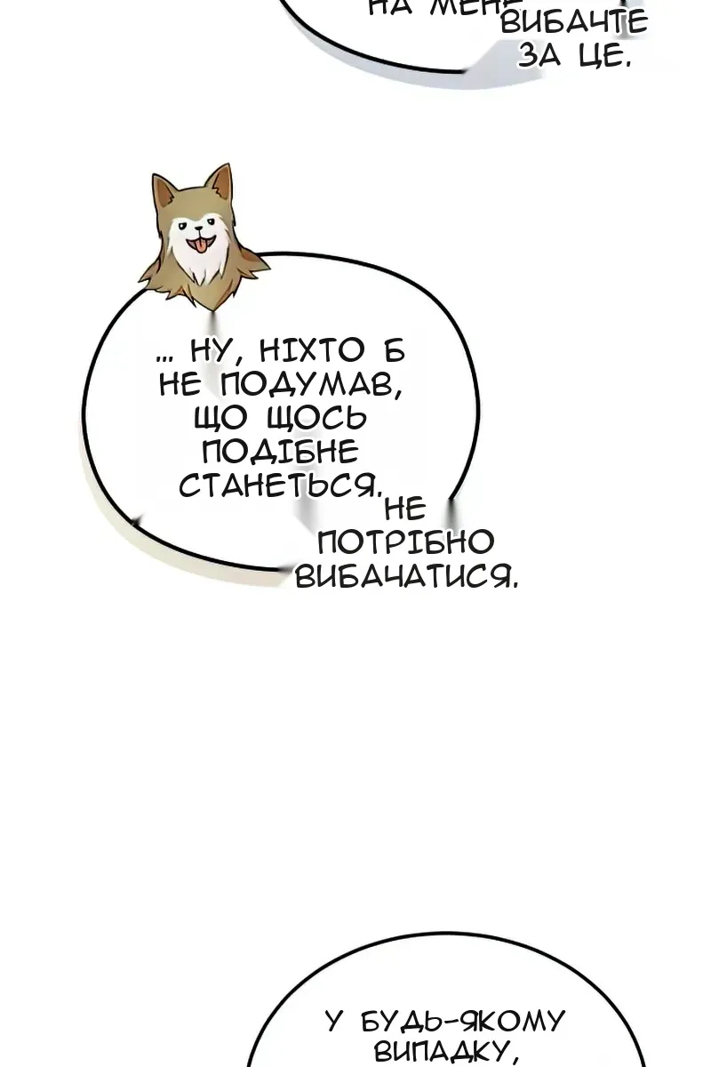 Сторінка 41