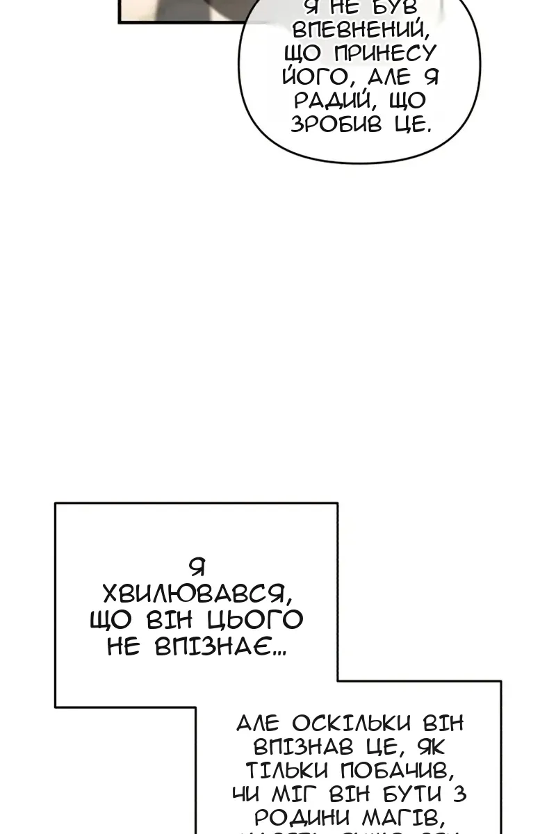Сторінка 31