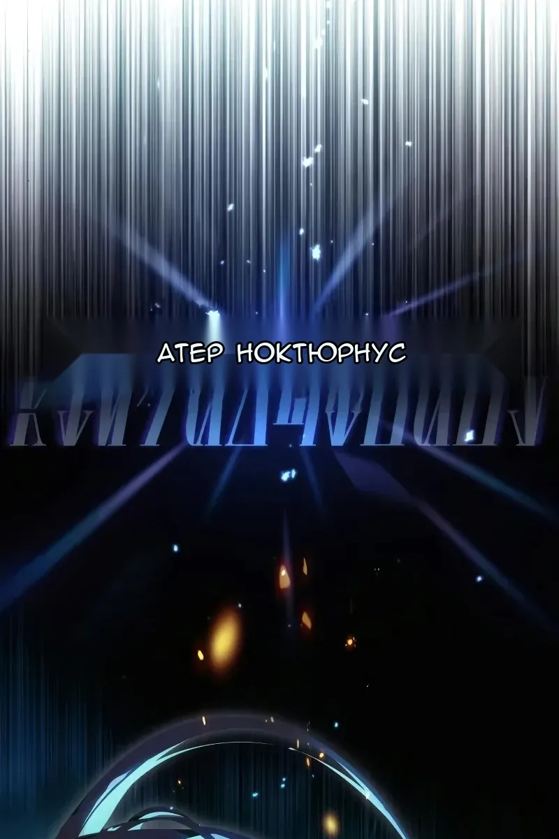 Сторінка 31
