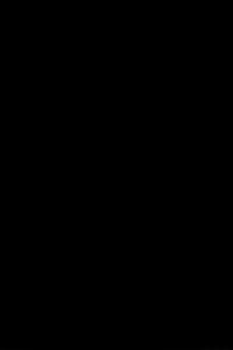 Сторінка 33