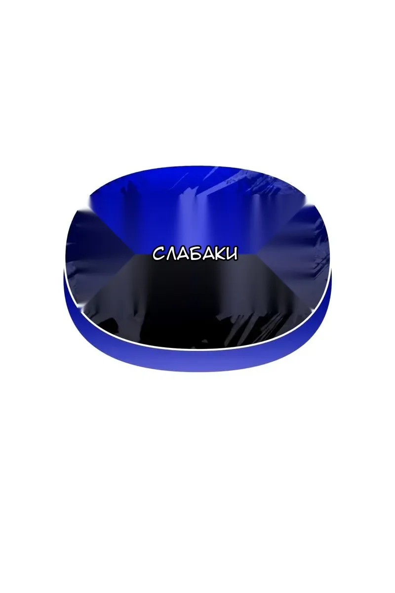 Сторінка 111