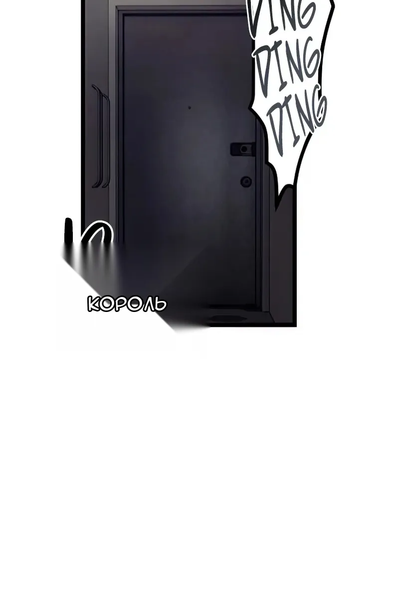 Сторінка 43