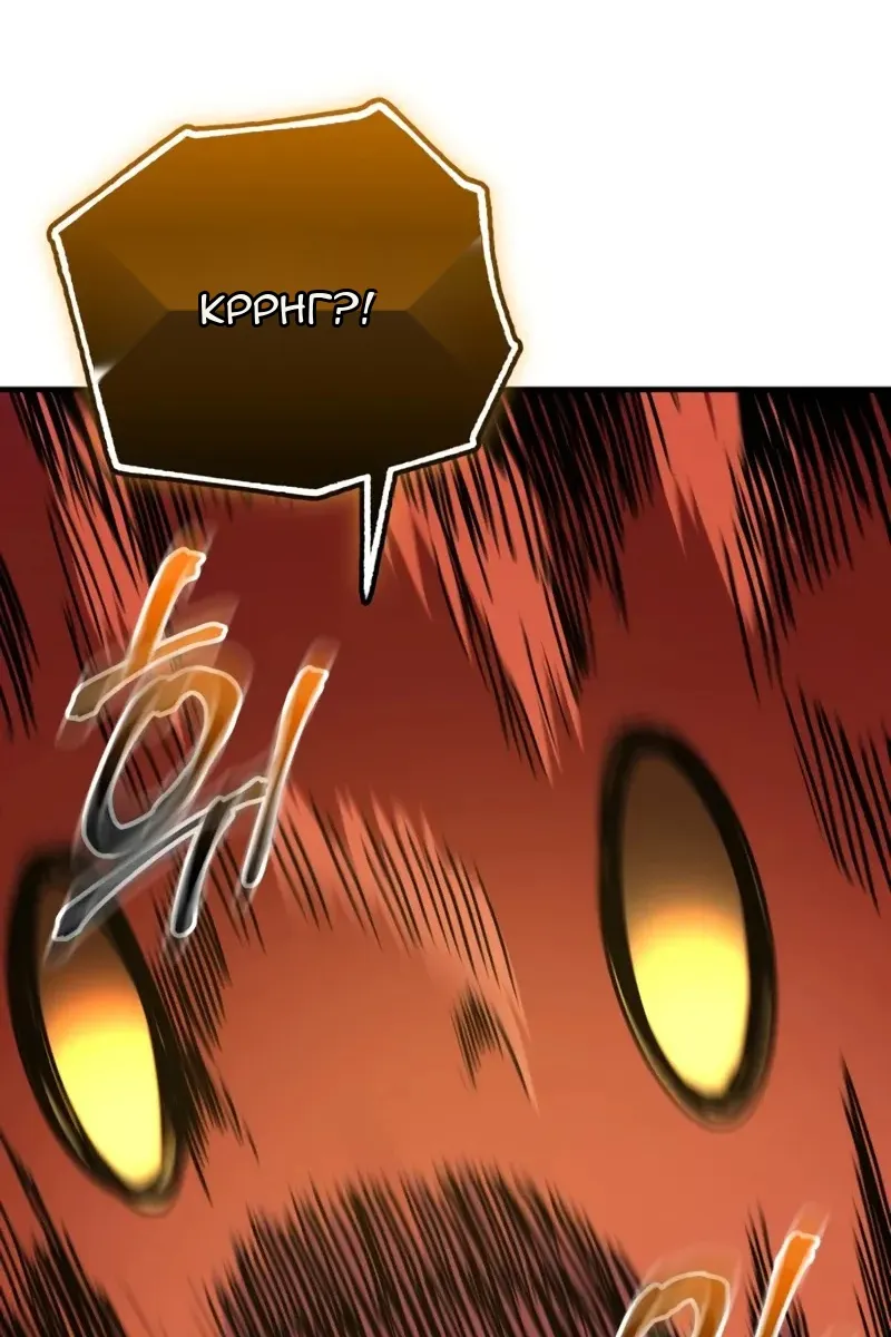 Сторінка 11