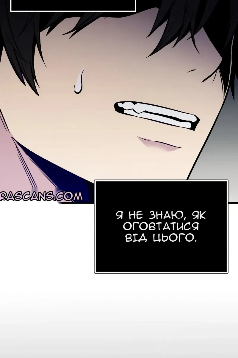 Сторінка 17