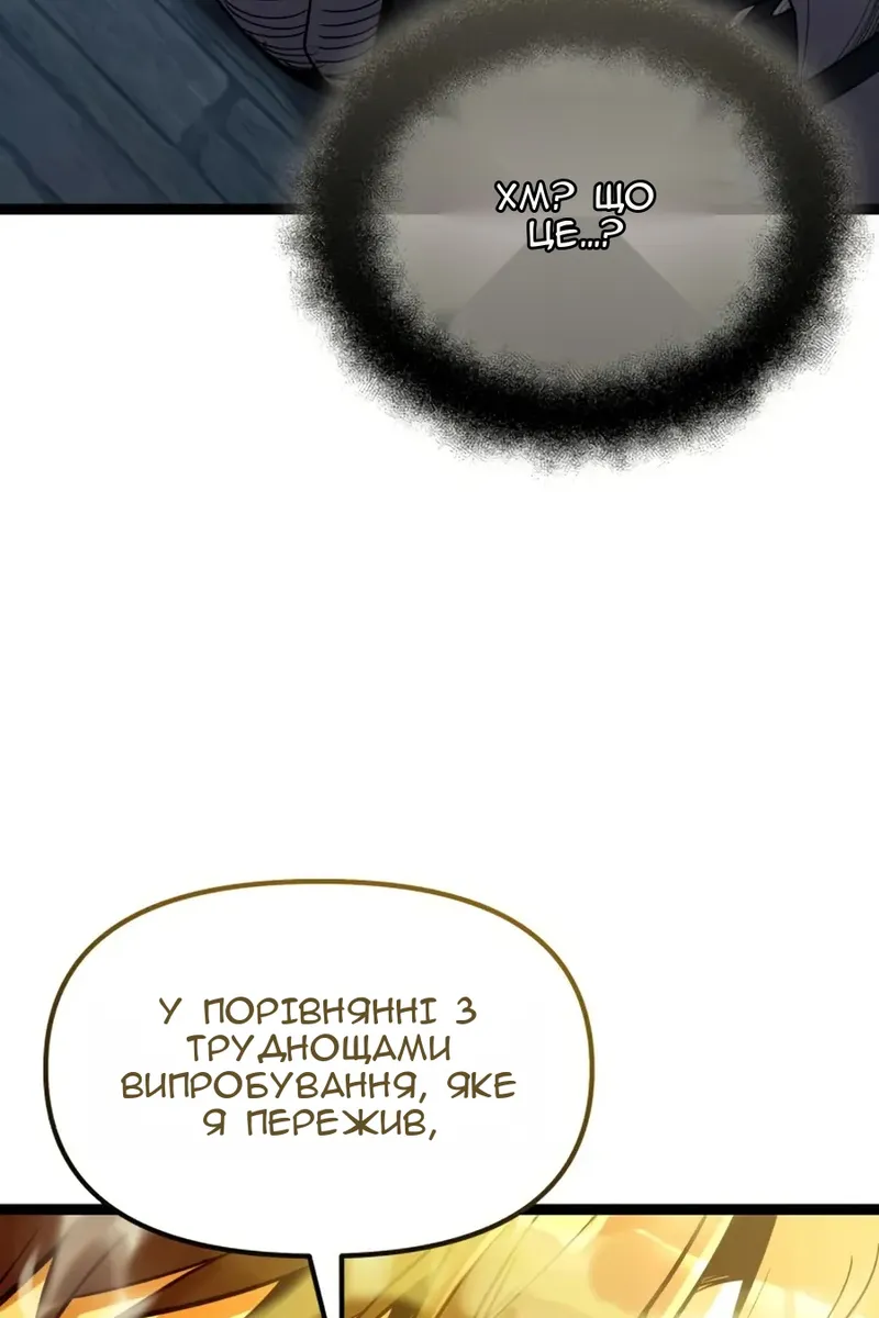 Сторінка 29