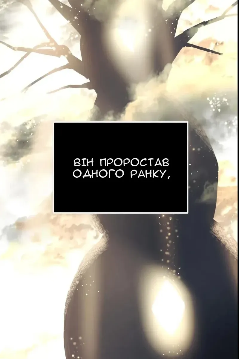 Сторінка 31