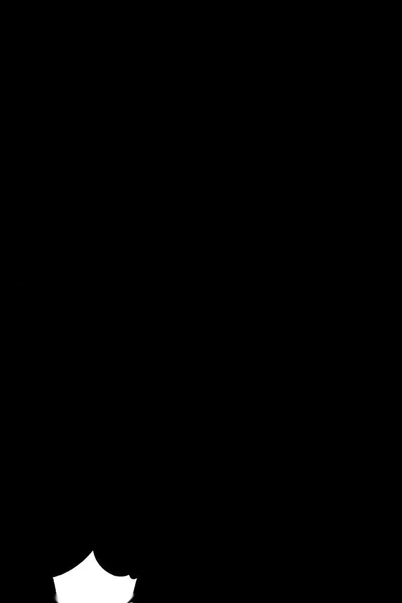 Сторінка 217