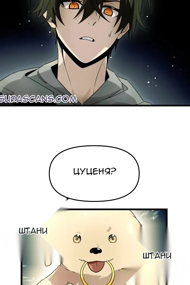Сторінка 28