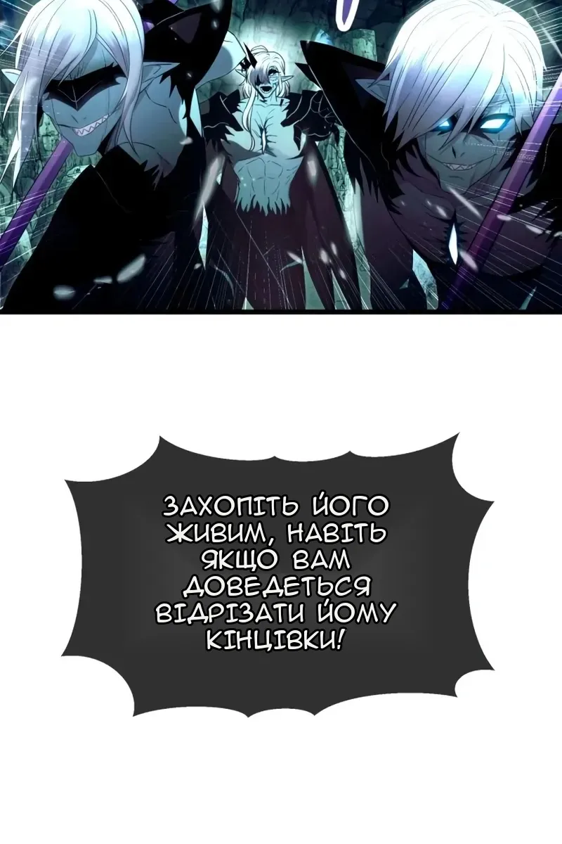 Сторінка 17