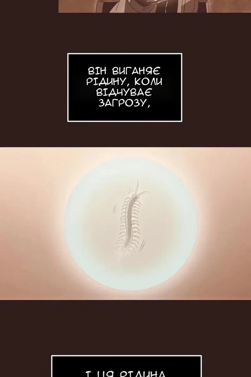 Сторінка 3