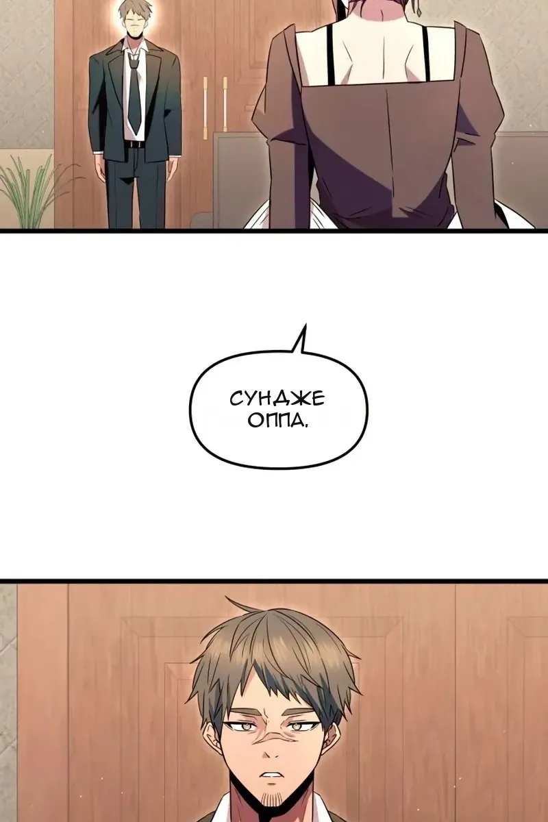 Сторінка 113
