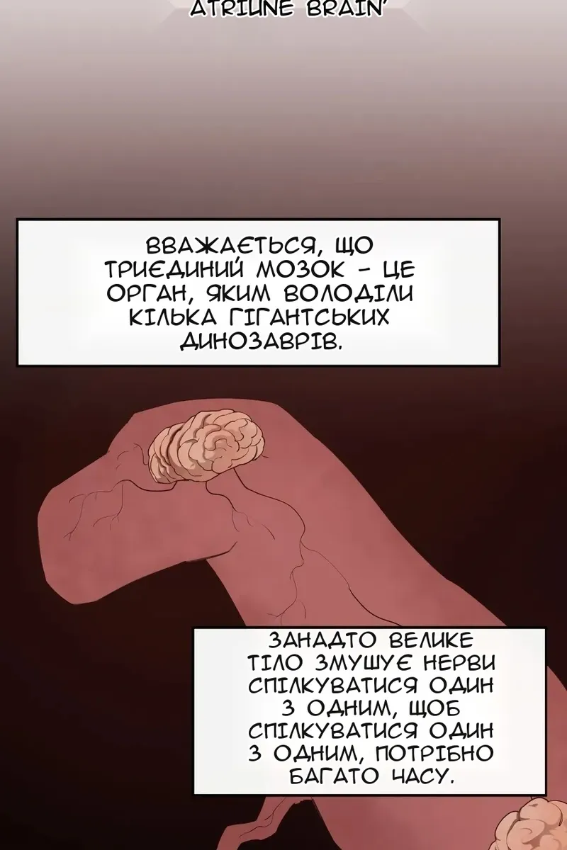 Сторінка 17