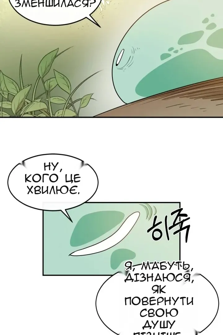 Сторінка 81