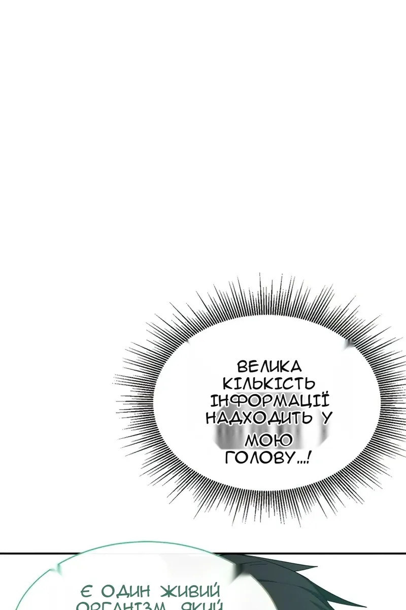 Сторінка 25