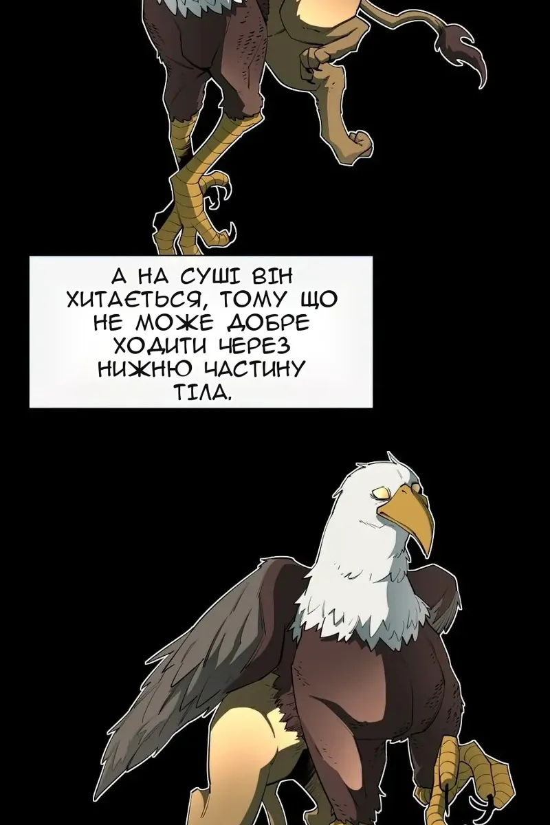 Сторінка 7