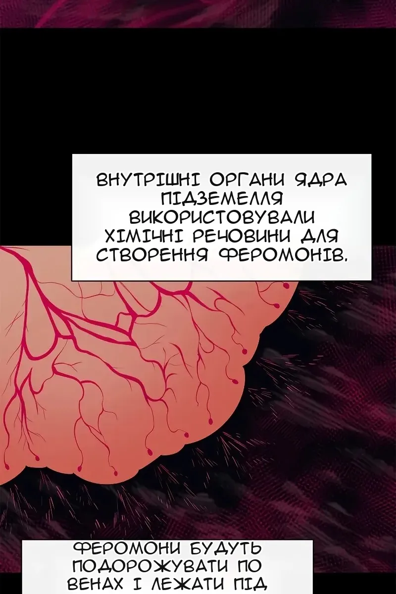 Сторінка 54