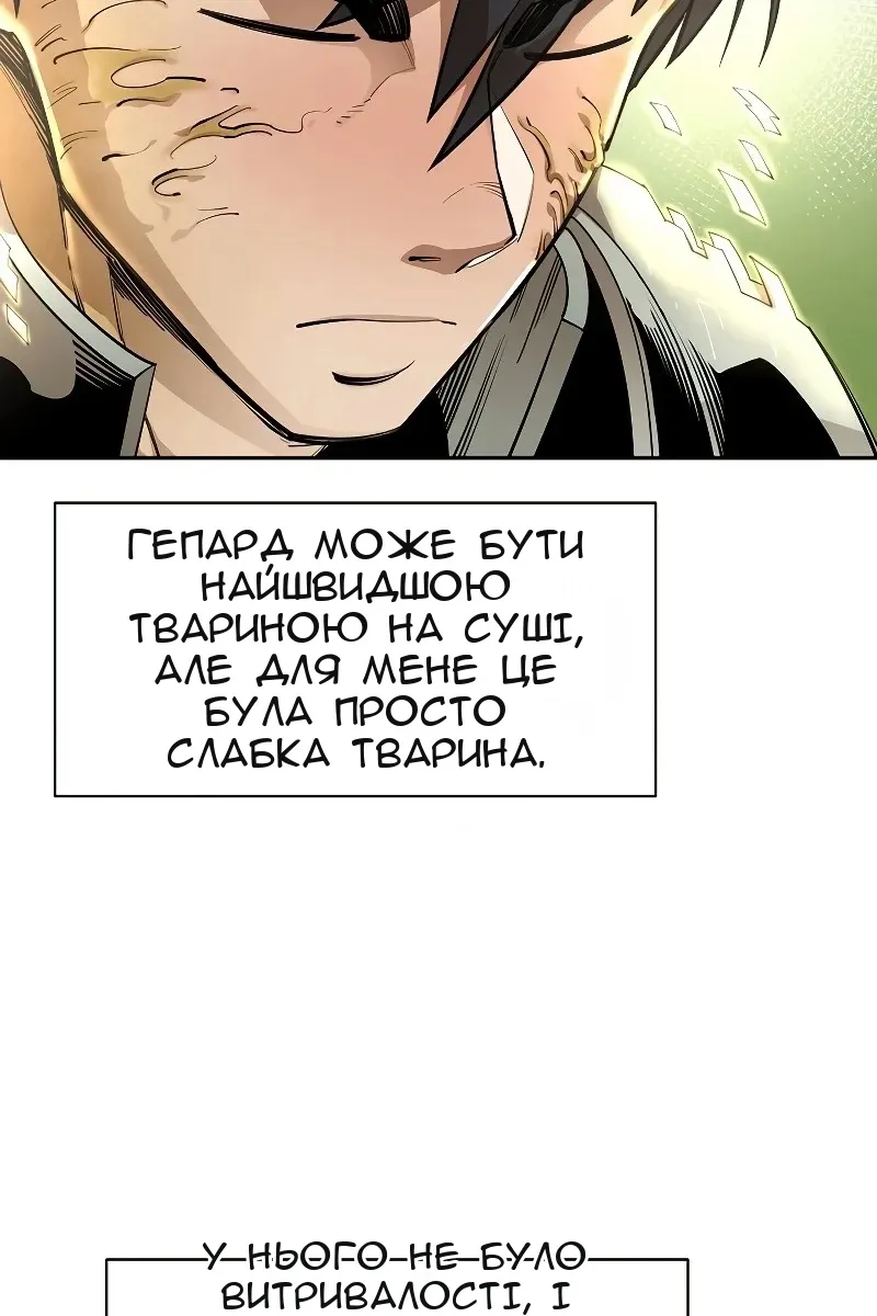 Сторінка 31