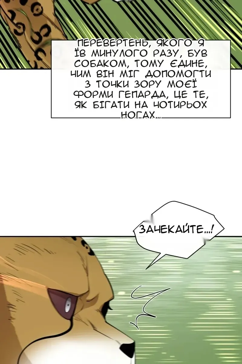 Сторінка 41