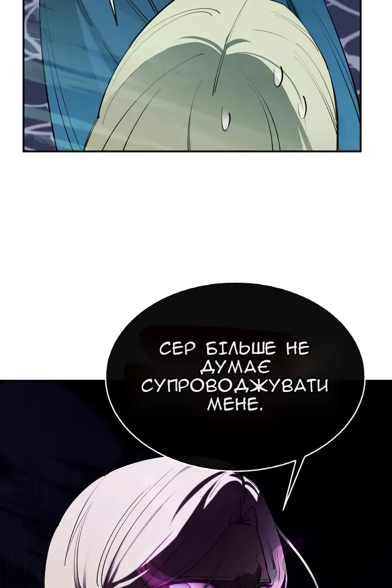 Сторінка 41