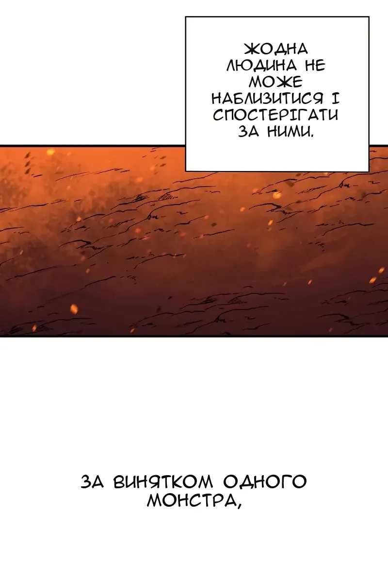 Сторінка 5