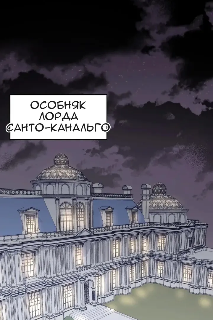 Сторінка 21