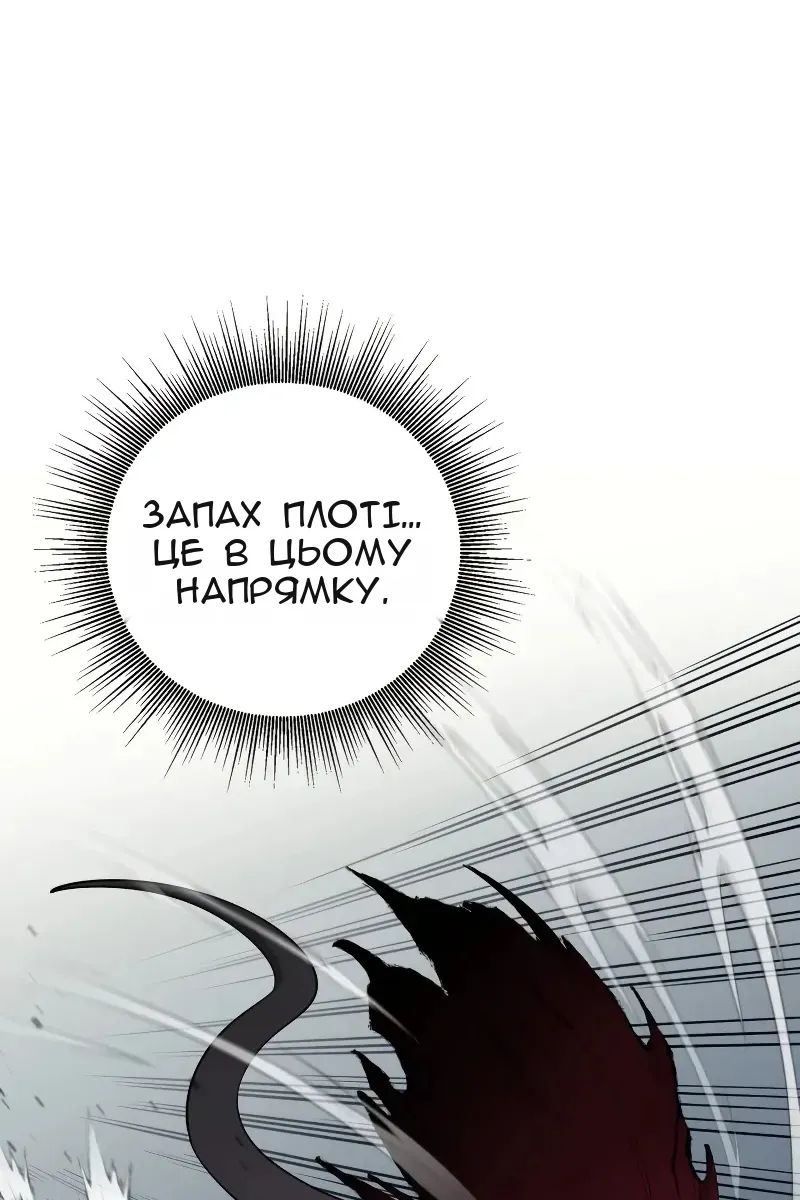 Сторінка 41