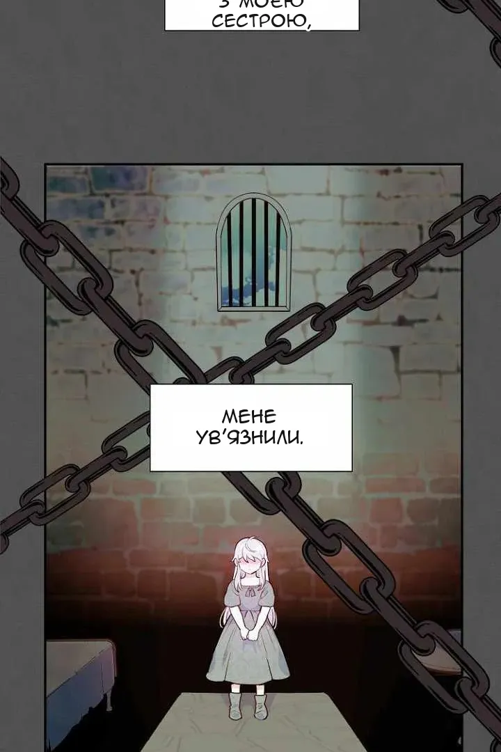 Сторінка 29