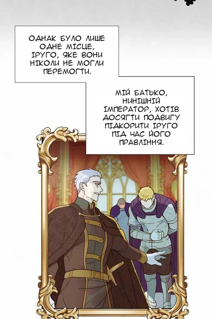 Сторінка 41