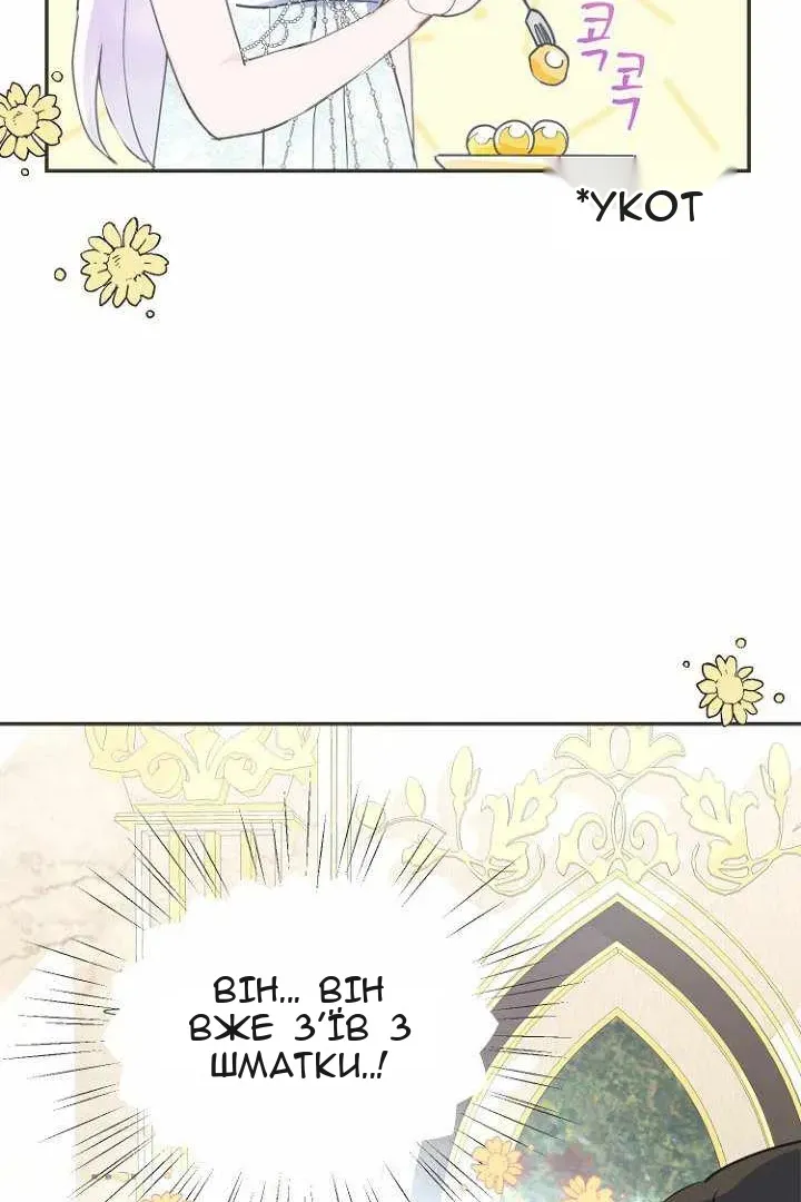 Сторінка 7