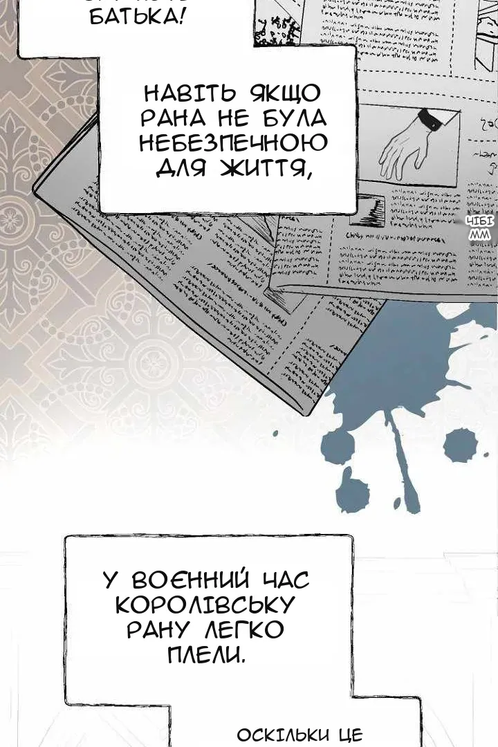 Сторінка 41