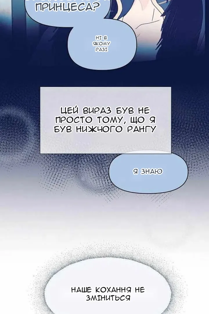 Сторінка 51