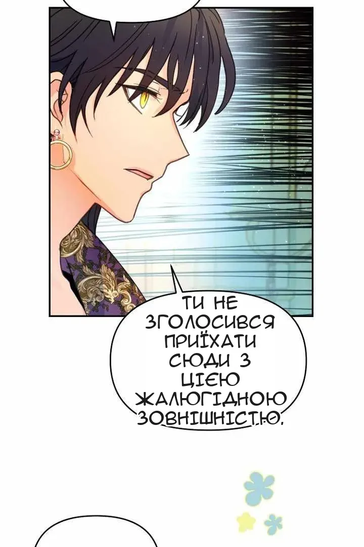 Сторінка 17