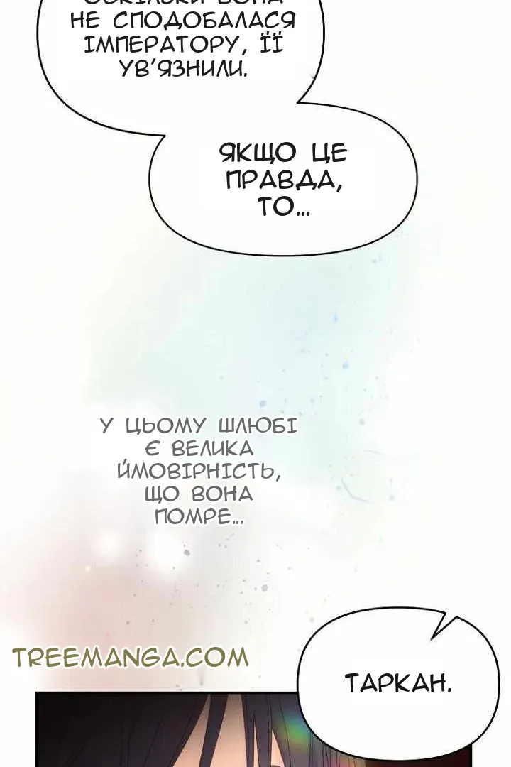 Сторінка 20