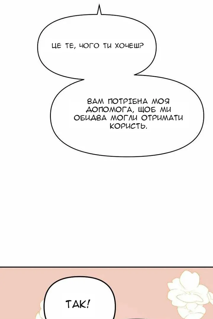 Сторінка 29