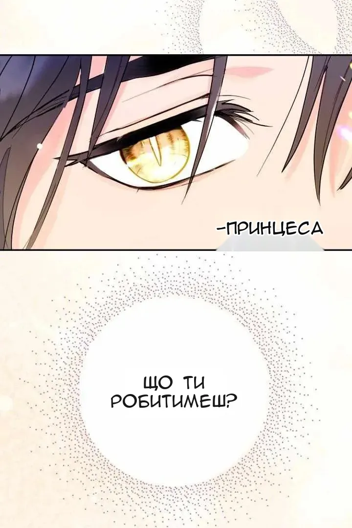 Сторінка 19