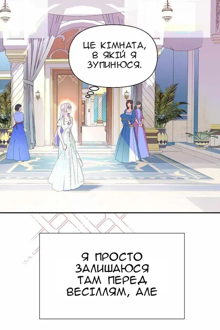Сторінка 71
