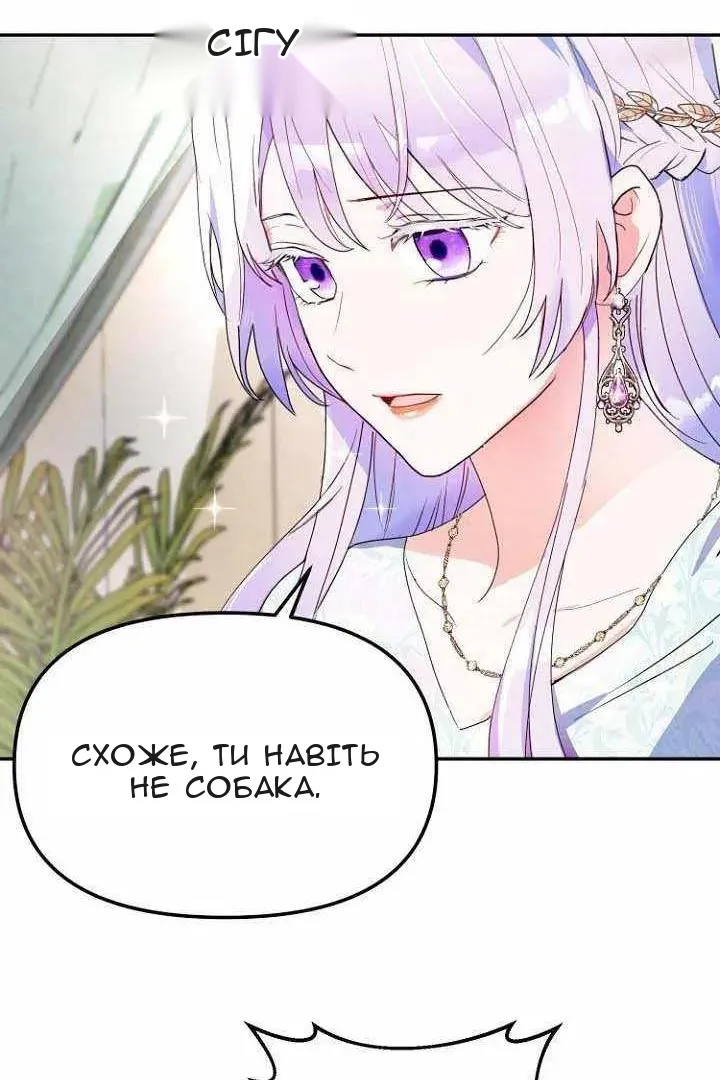 Сторінка 8