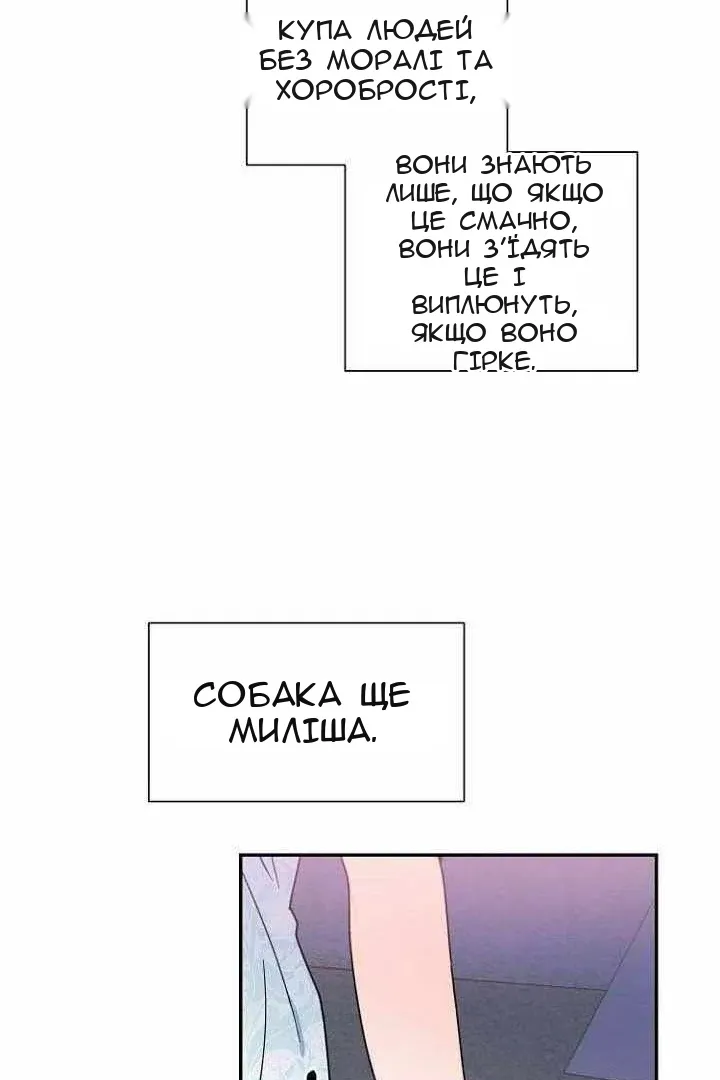 Сторінка 11