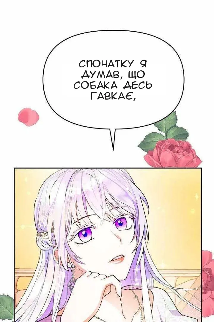 Сторінка 13