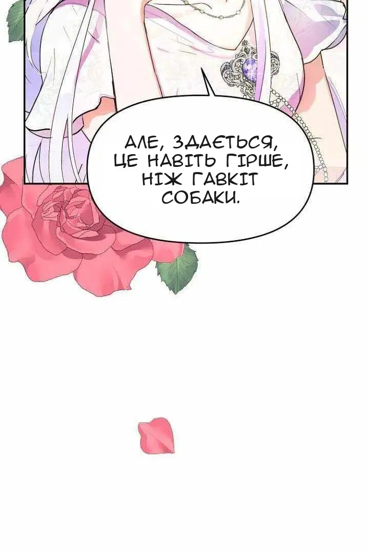 Сторінка 14