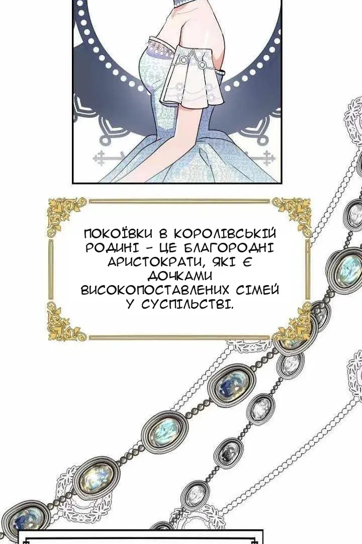 Сторінка 17