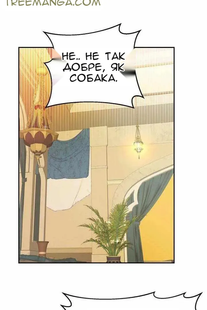 Сторінка 24