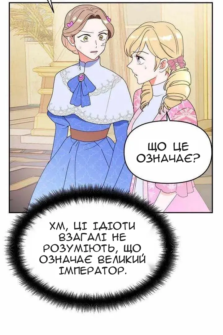 Сторінка 41