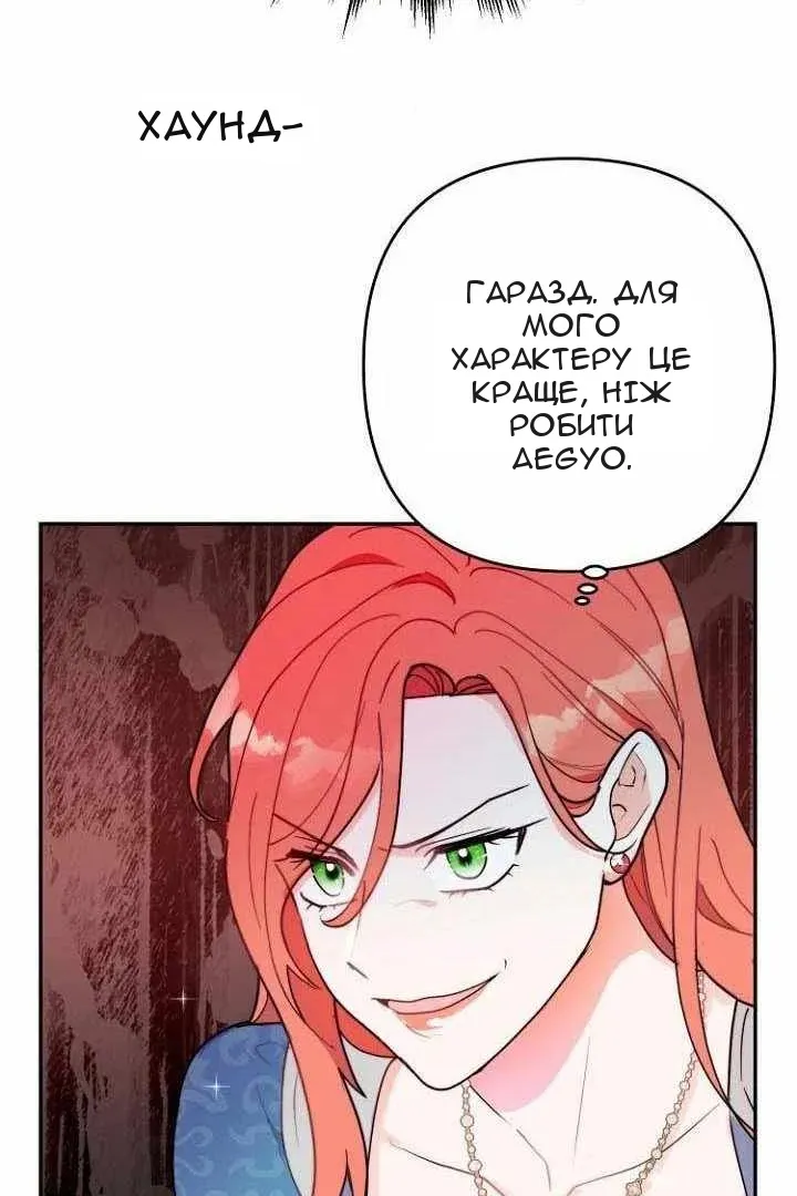 Сторінка 17