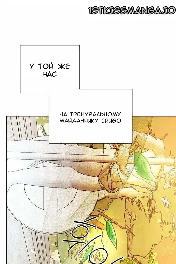 Сторінка 28