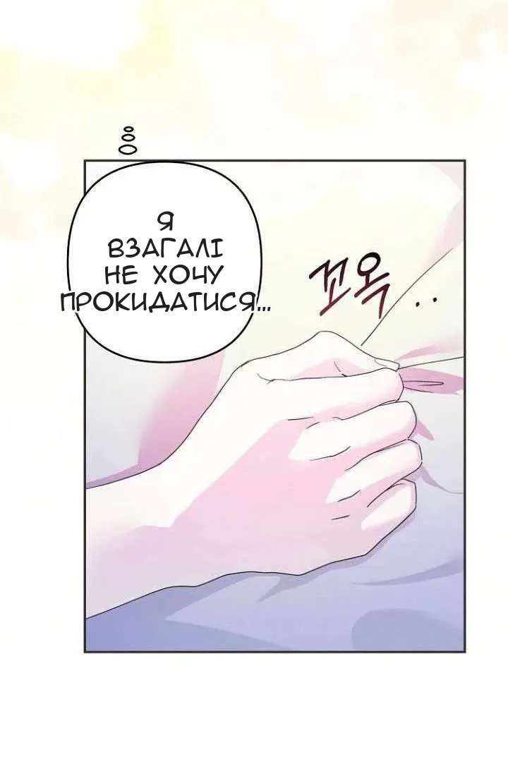 Сторінка 29