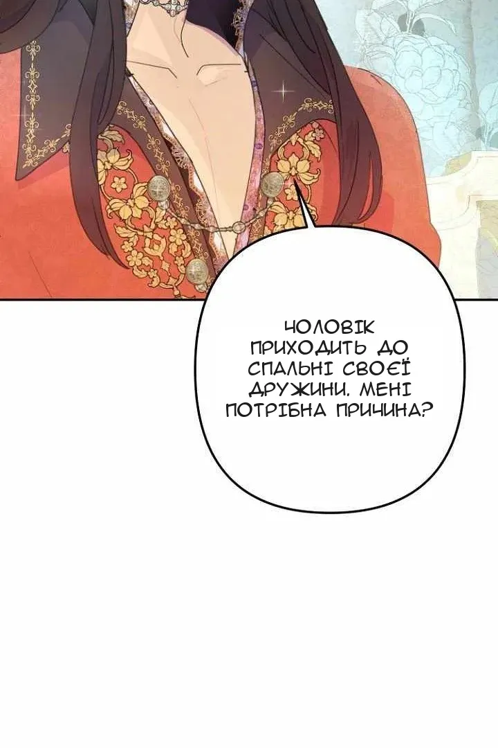 Сторінка 42