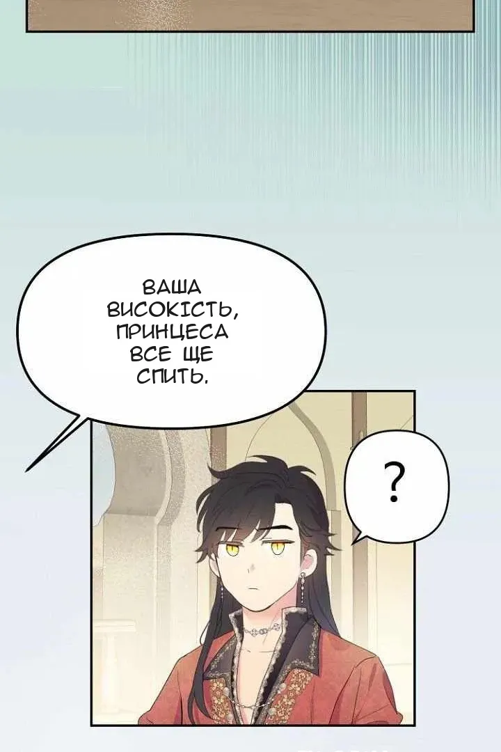 Сторінка 51