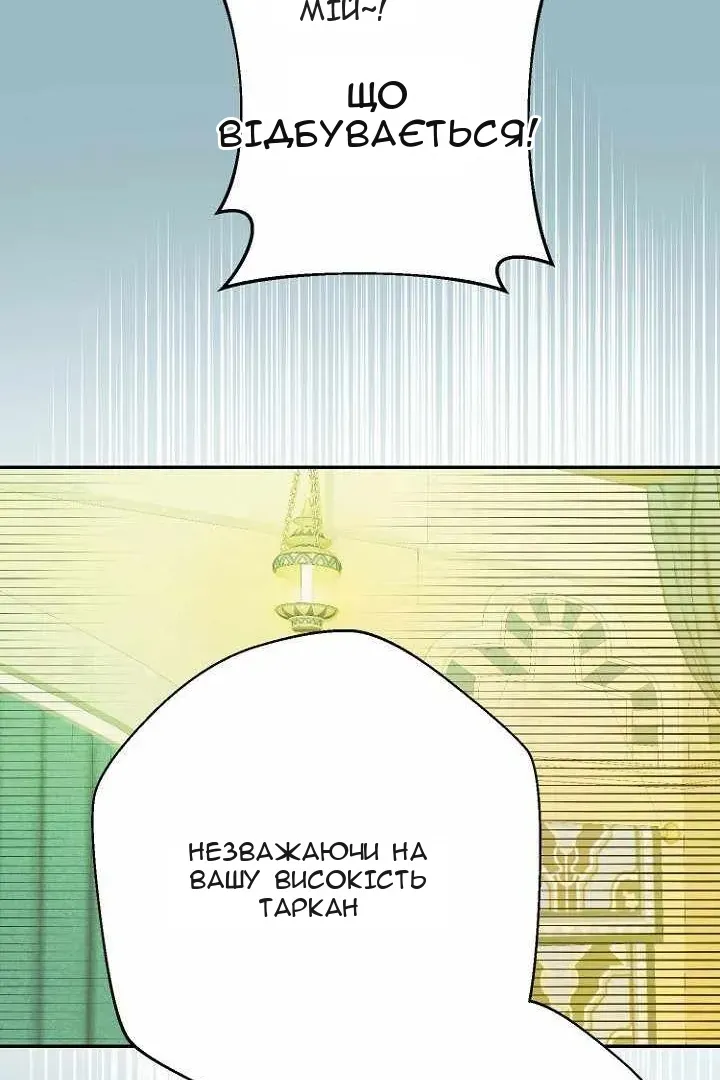 Сторінка 71