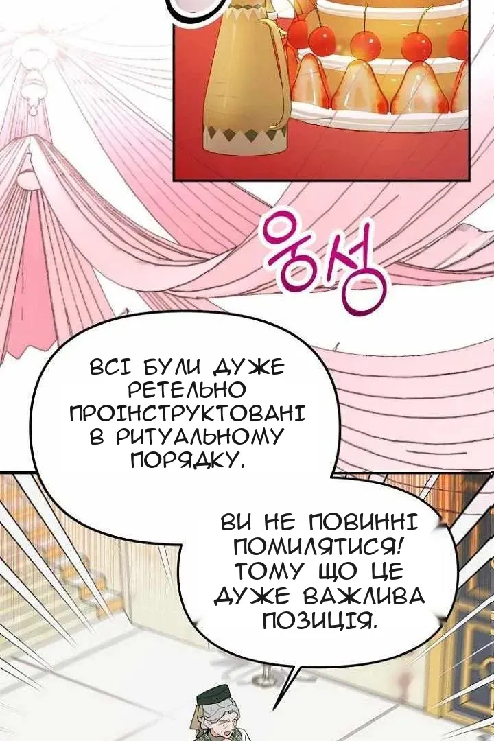 Сторінка 17